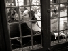 nj-weddings-13