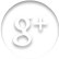Google Plus