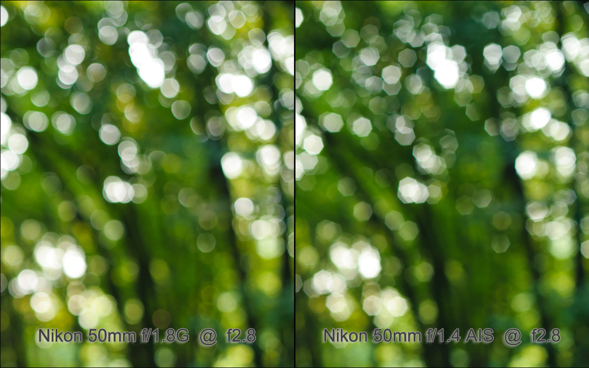 lens review: Nikon 50mm f/1.4G vs Nikon 50mm f/1.8G - Tangents