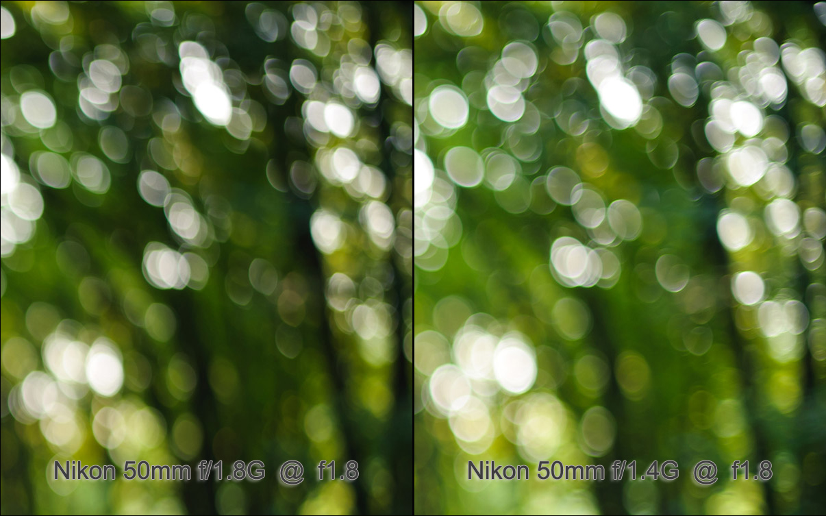 Lens Review Nikon 50mm F 1 4g Vs Nikon 50mm F 1 8g Tangents