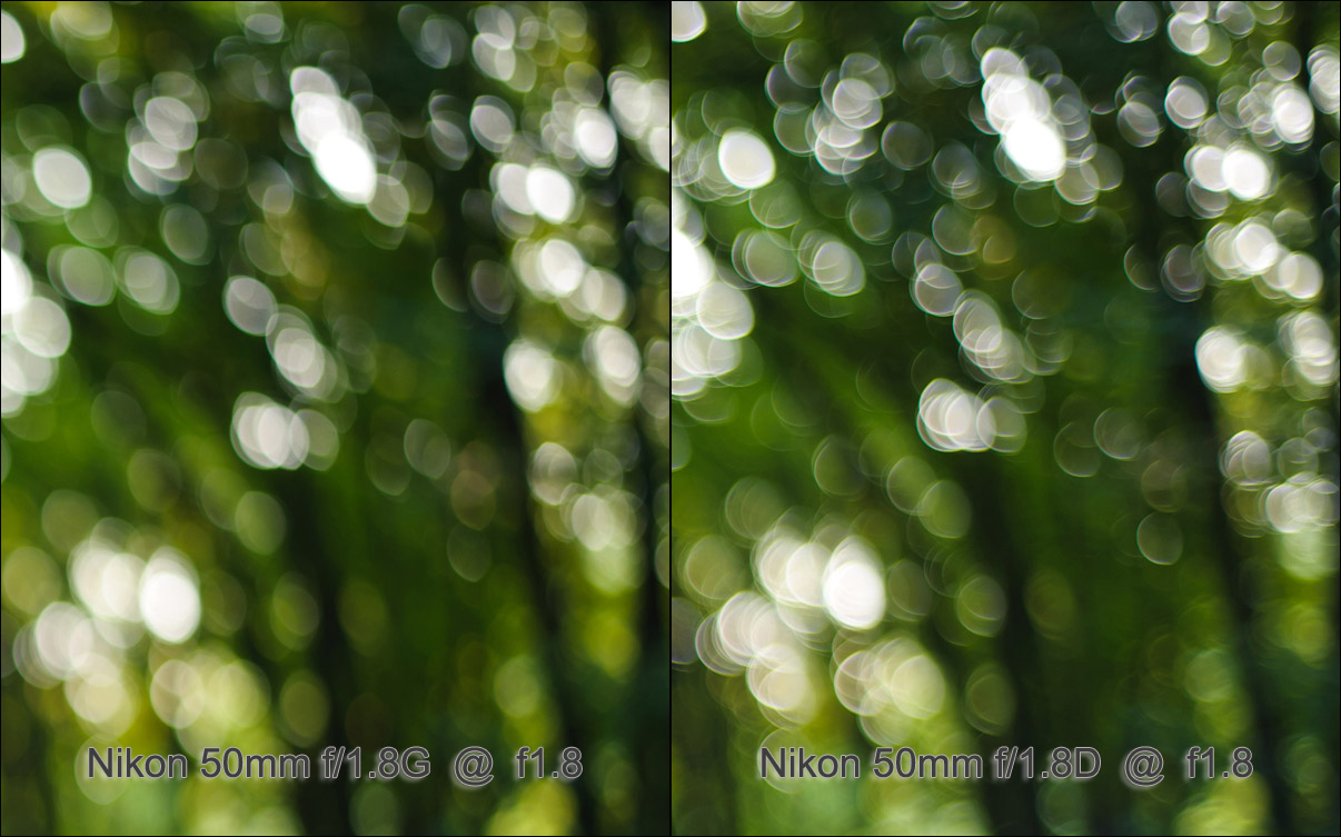 lens review: Nikon 50mm f/1.4G vs Nikon 50mm f/1.8G -