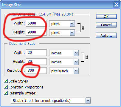 iresize size in pixels width