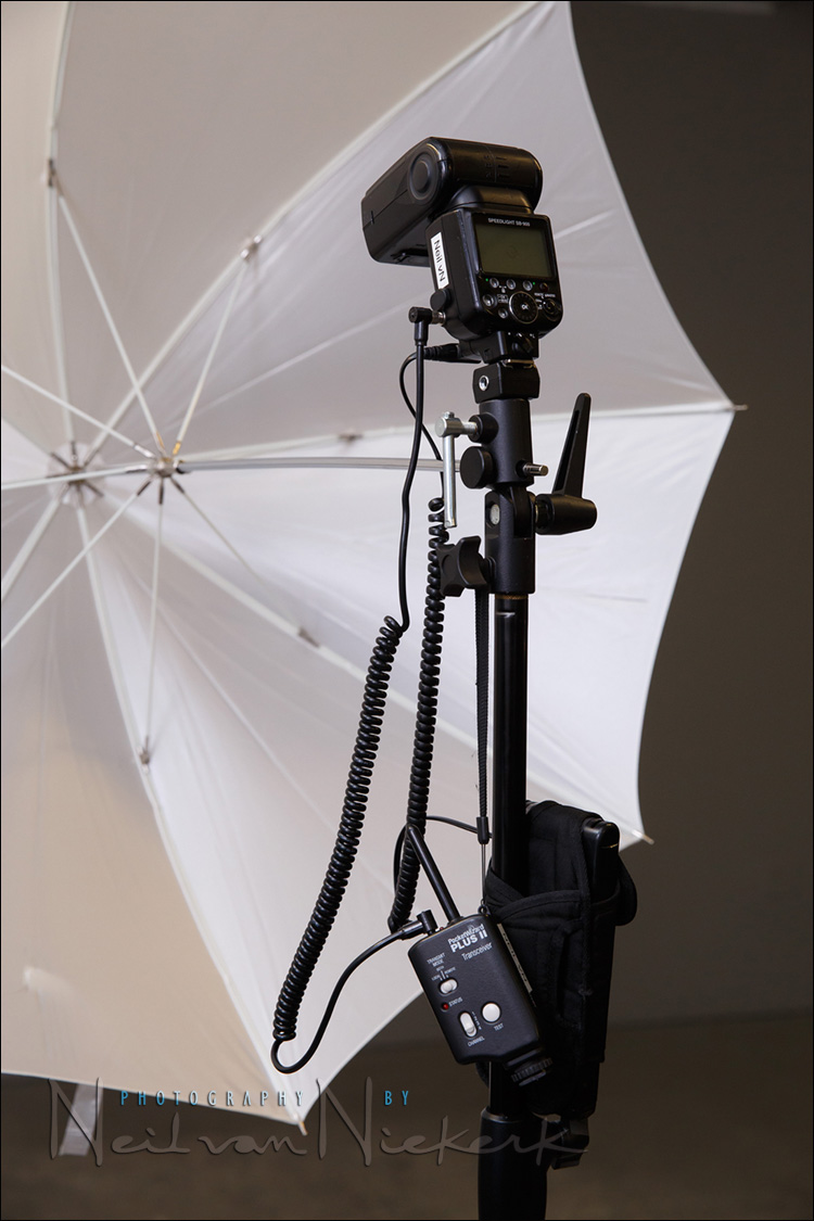 Godox TT600 - Manual Speedlite flash with 2.4GHz transceiver built-in -  Camera Gear