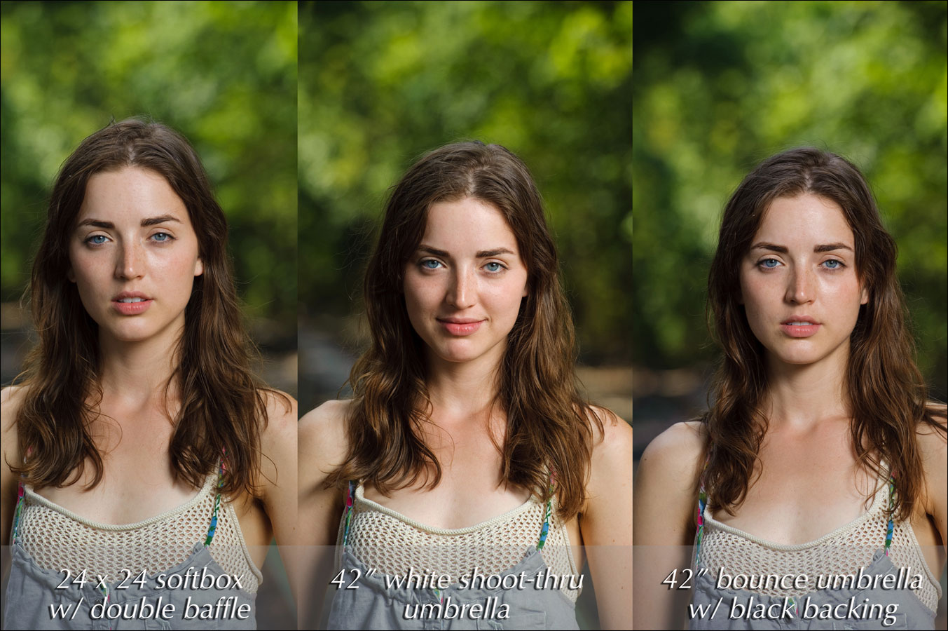 softbox vs shoot-through umbrella vs bounce umbrella ...