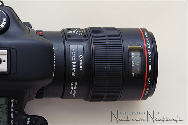 review: Canon EF 100mm f/2.8L Macro IS lens