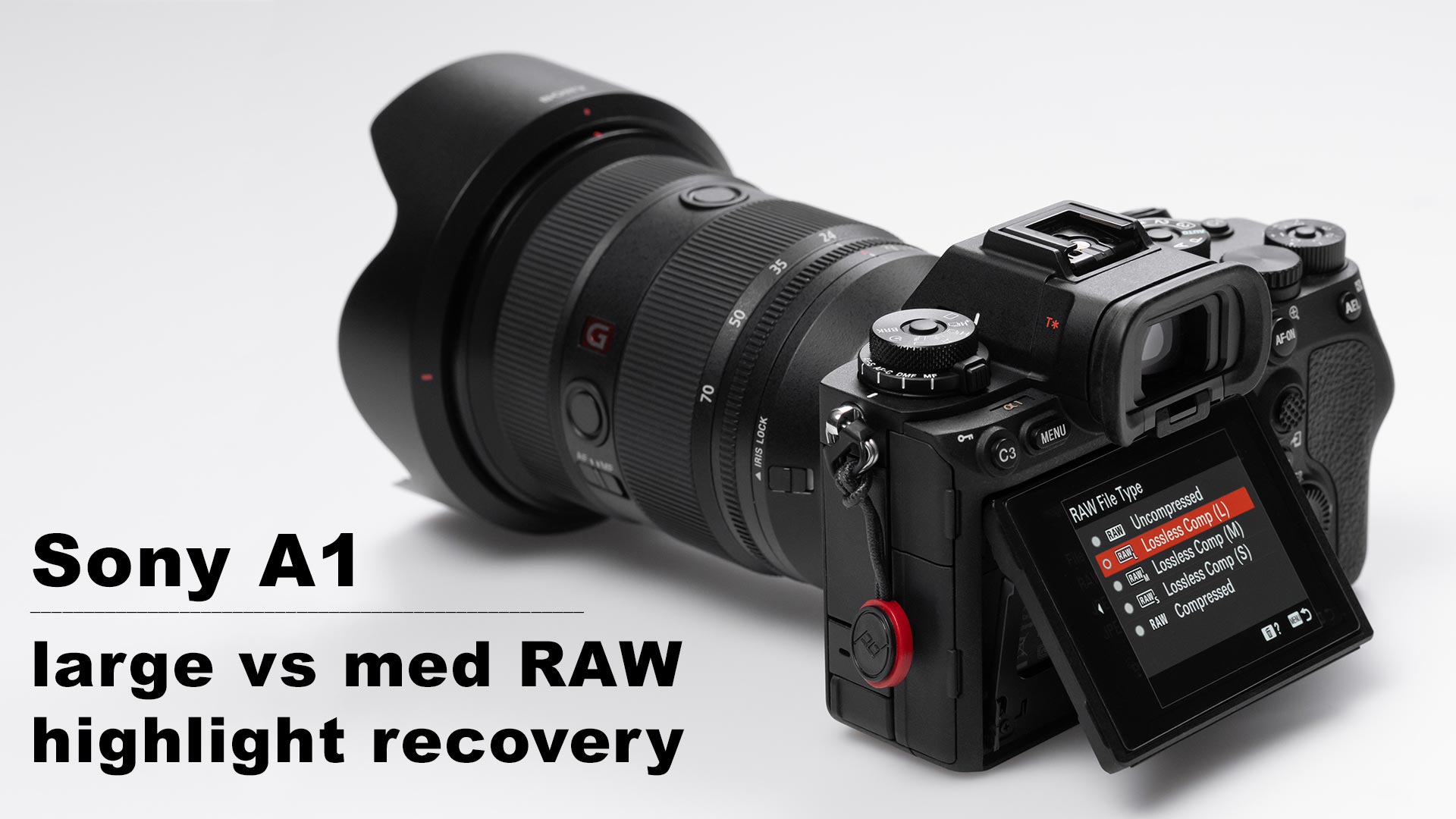 Sony A1 - large vs medium RAW highlight recovery